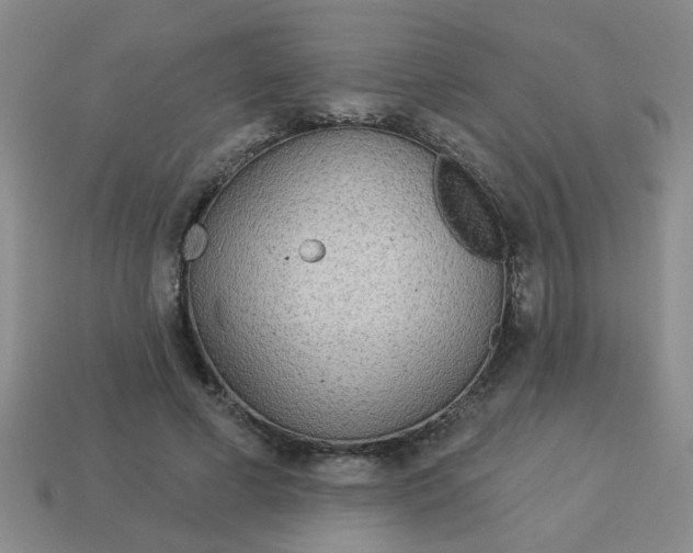 X0000114130593200910221506