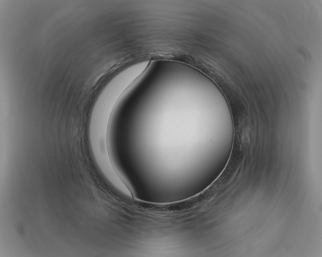 X0000114130595200910221506