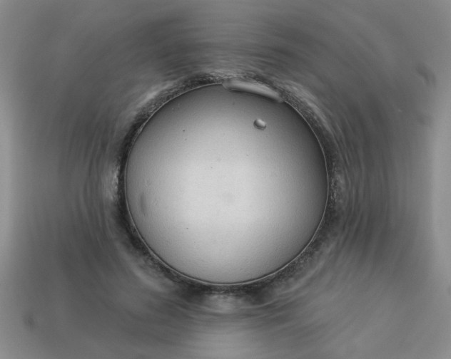 X0000114130596200910221506