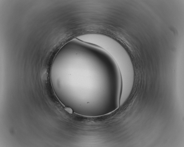 X0000114130597200910221506