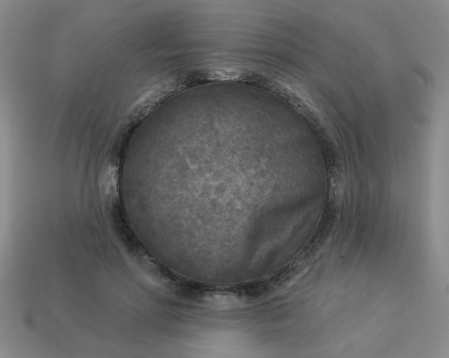 X0000114130598200910221506