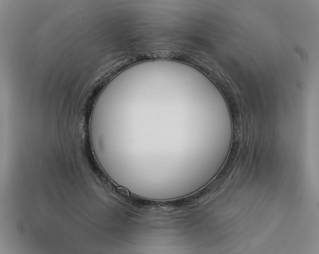 X0000114130599200910221506