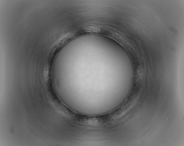 X0000114130600200910221506