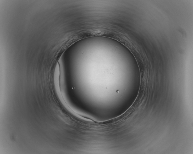 X0000114130601200910221506