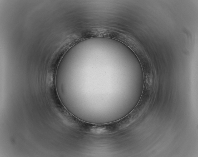 X0000114130602200910221506