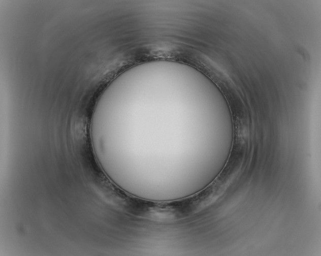 X0000114130603200910221506