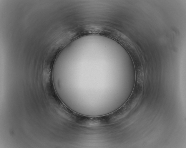 X0000114130604200910221506