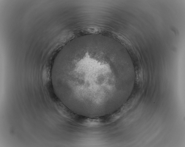 X0000114130606200910221506