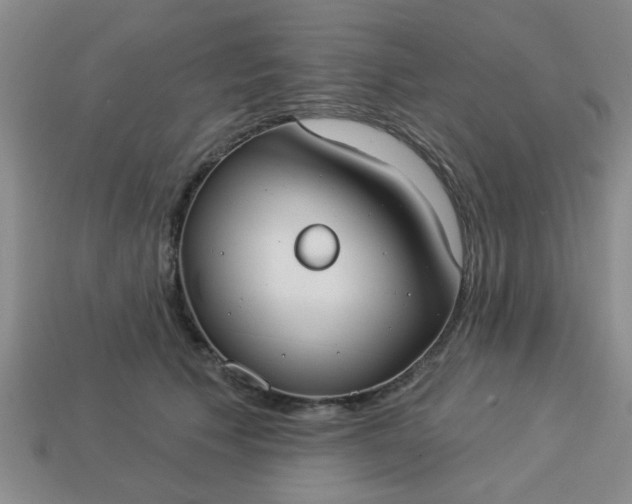 X0000114130609200910221506