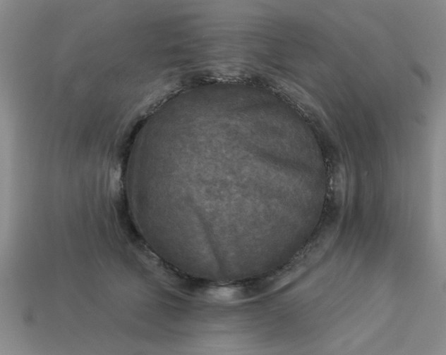 X0000114130610200910221506