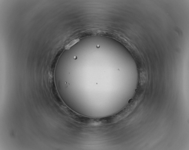 X0000114130613200910221506