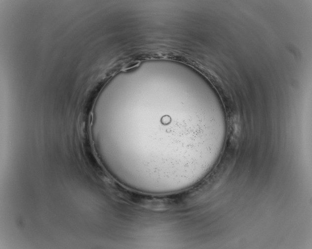 X0000114130615200910221506