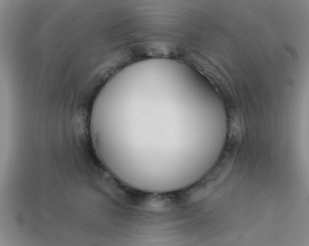 X0000114130616200910221506