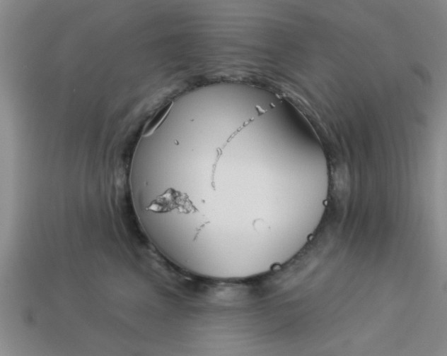 X0000114130617200910221506