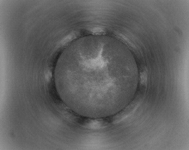 X0000114130618200910221506