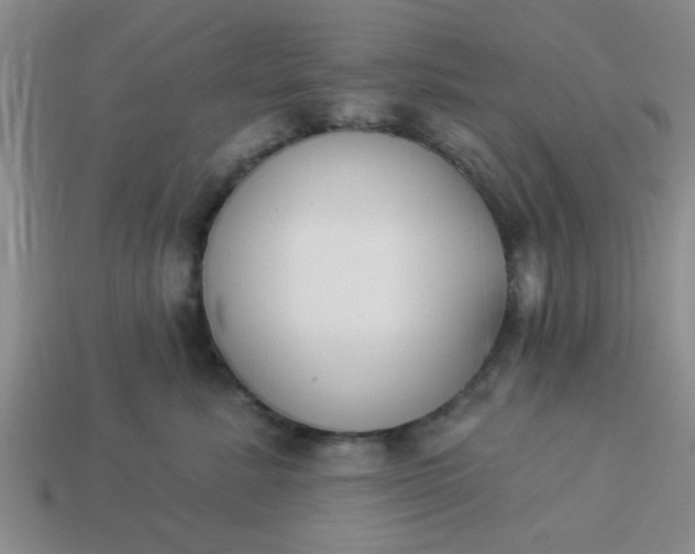 X0000114130619200910221506