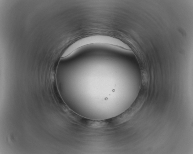 X0000114130621200910221506