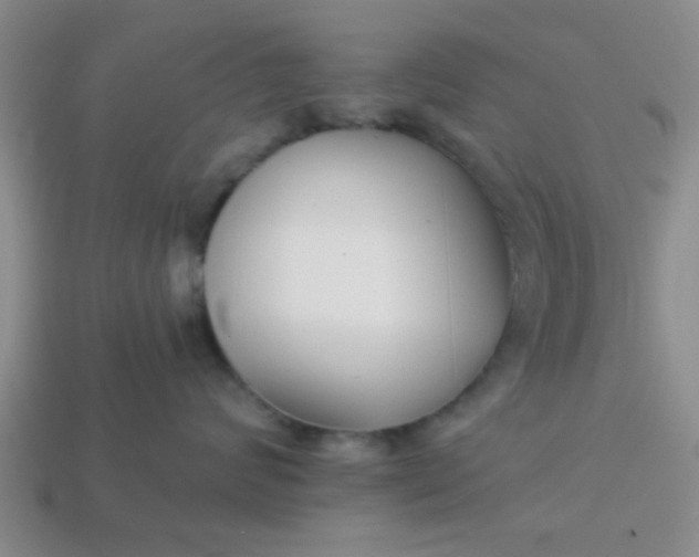 X0000114130624200910221505