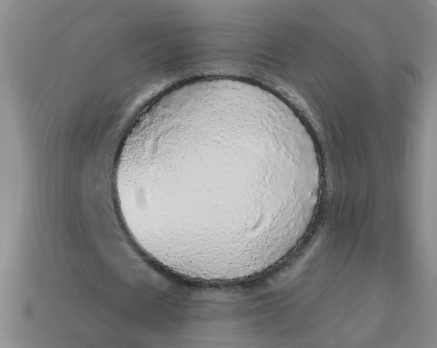 X0000114130625200910221505