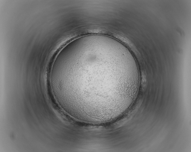 X0000114130626200910221505