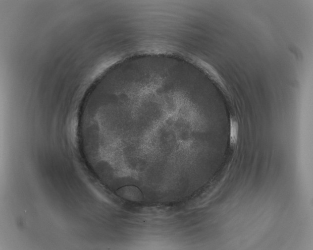 X0000114130627200910221505