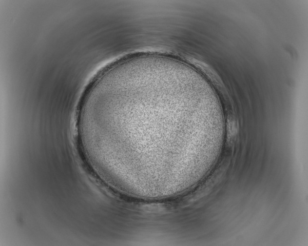 X0000114130628200910221505