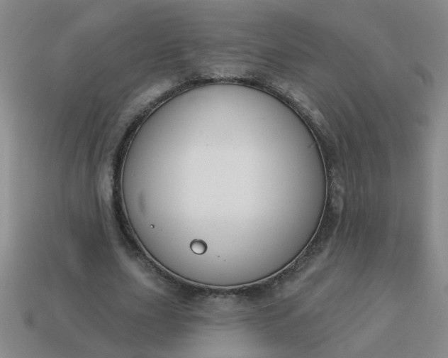 X0000114130631200910221505