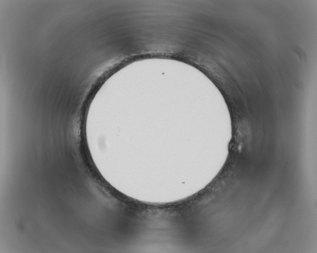 X0000114130632200910221505