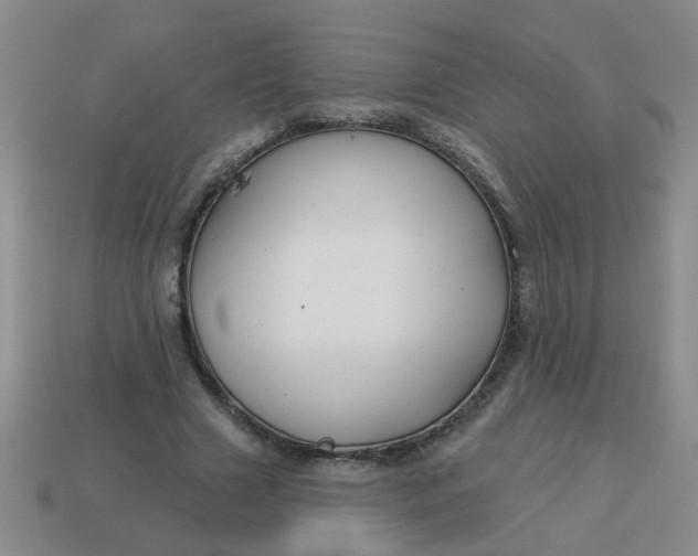 X0000114130633200910221505