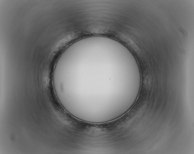 X0000114130635200910221505