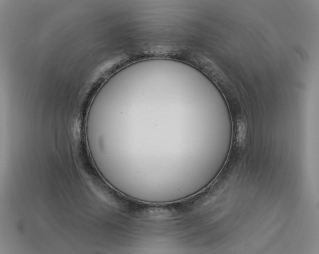 X0000114130636200910221505