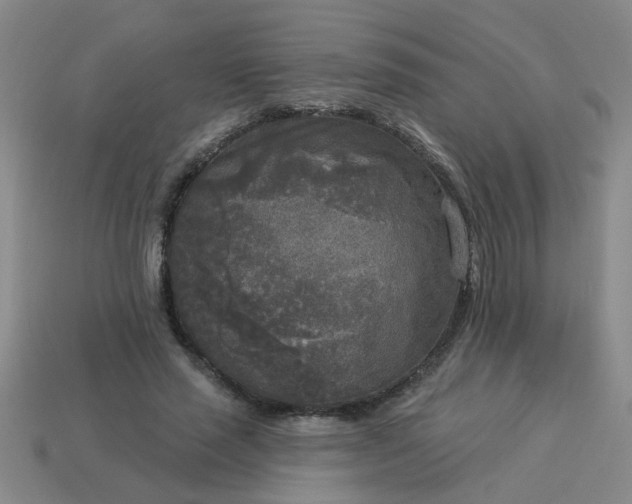 X0000114130637200910221505