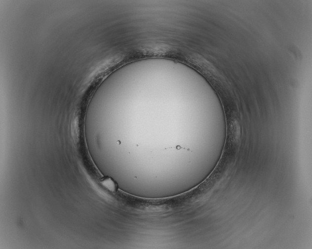 X0000114130638200910221505