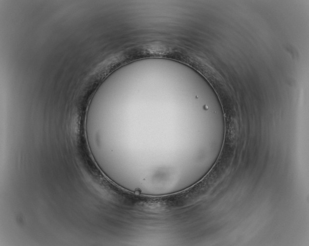 X0000114130639200910221505