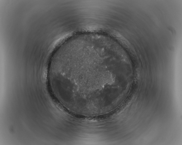 X0000114130640200910221505