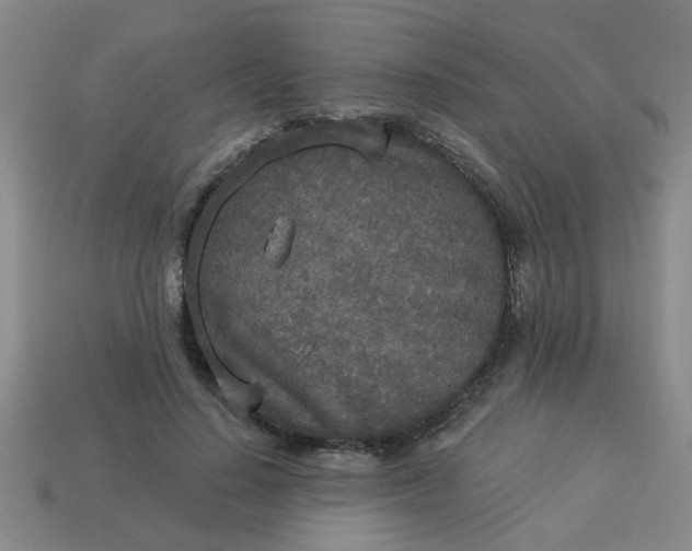 X0000114130644200910221505