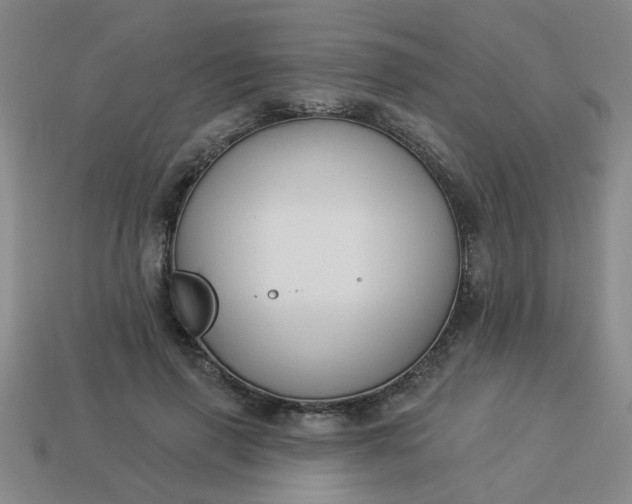 X0000114130645200910221505