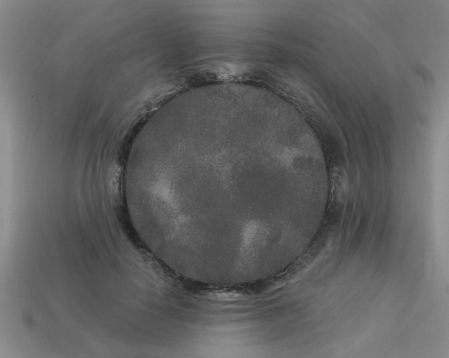 X0000114130650200910221505