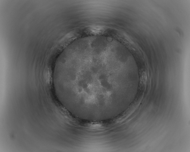 X0000114130651200910221505