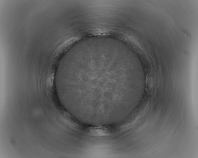 X0000114130652200910221505