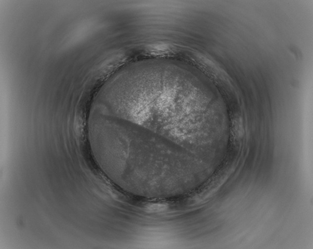 X0000114130653200910221505