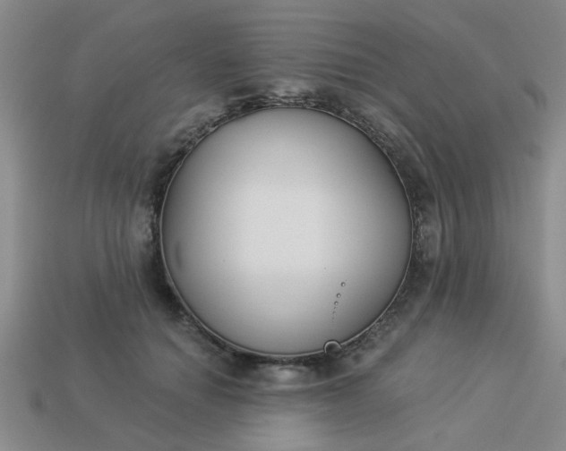 X0000114130654200910221505