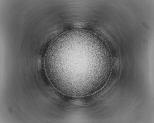 X0000114130655200910221505