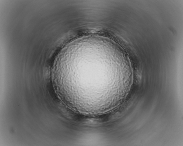 X0000114130657200910221505