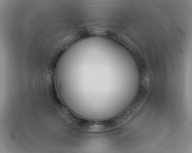 X0000114130658200910221505