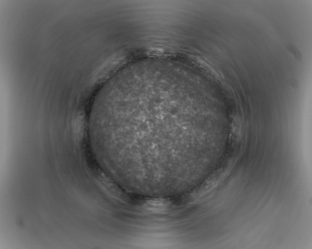 X0000114130659200910221505