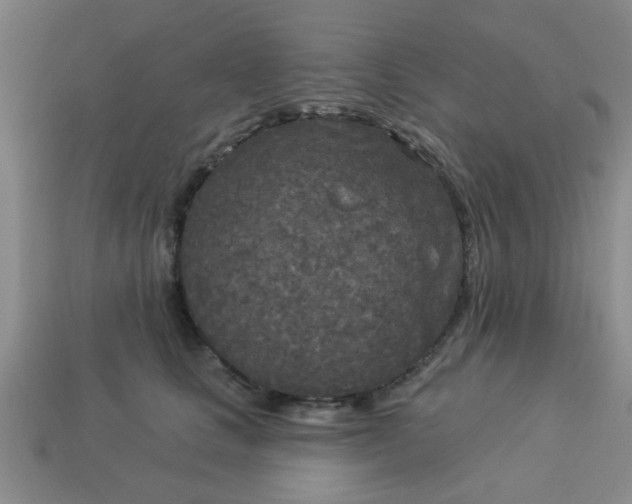 X0000114130661200910221505