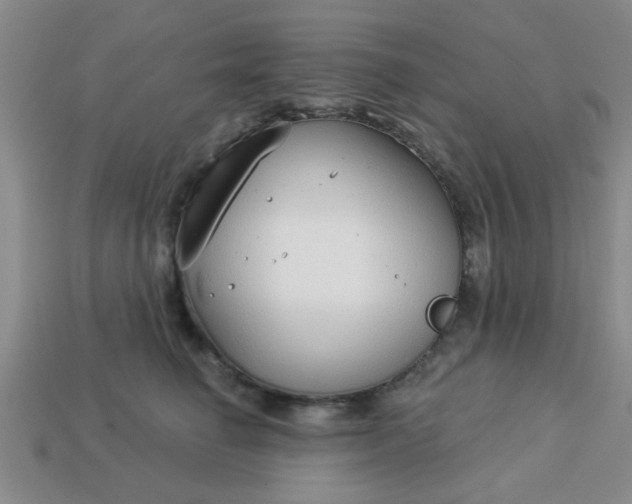 X0000114130662200910221505