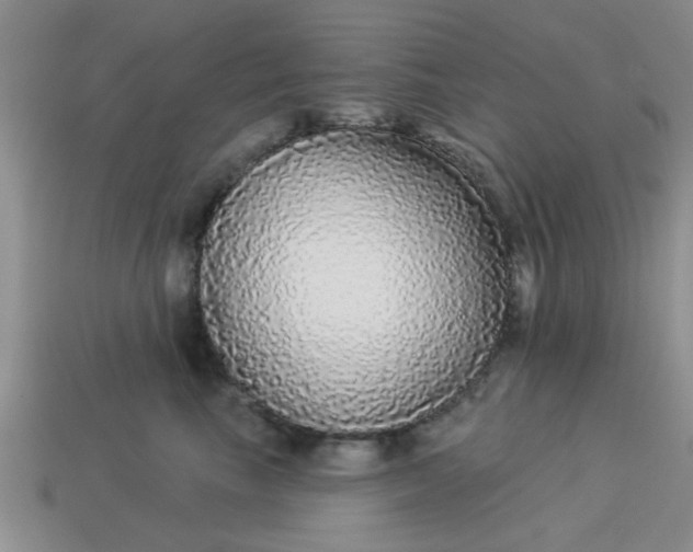 X0000114130665200910221505