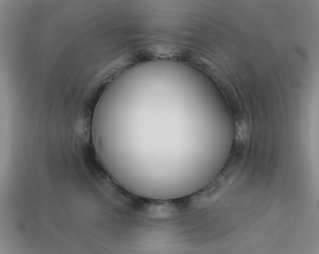 X0000114130666200910221505